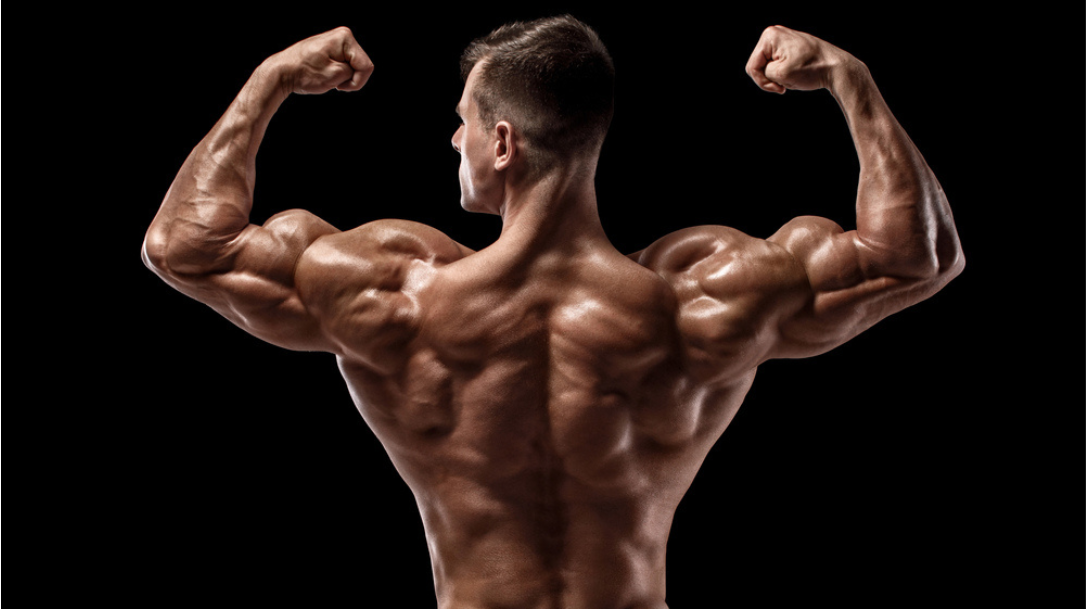 The 6 Major Bodybuilding Competitions & Divisions Explained - SET FOR SET